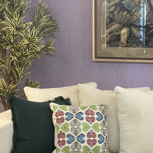 Spring Has Sprung Cushions